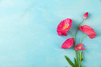 Pink poppy flowers bouquet on pastel blue background. Wedding card. Flat lay. Layout. Top view