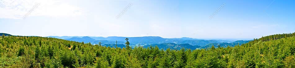 Black forest Germany