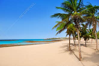 Arrecife Lanzarote Playa Reducto beach palm trees