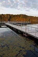 Floating dock