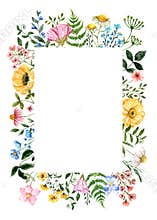 Watercolor floral frame with hand-painted summer meadow wildflowers, herbs, grass, leaves, isolated on white background