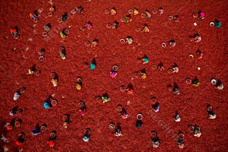 Women working on red chilies