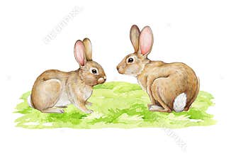 Couple of cute bunnies on the green grass. Watercolor hand drawn illustration. Little fuzzy farm animals. Small rabbits