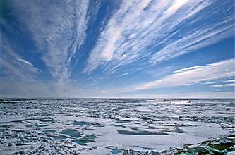 Pack Ice