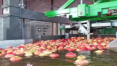 Industrial machine for emptying crates of apples in a pool full of water