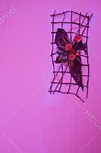Violet wall decoration
