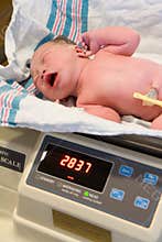 New Born Baby being weighed