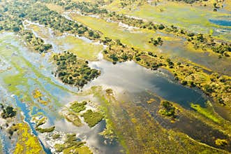Flooded area of the Okavango Delta in Botswana