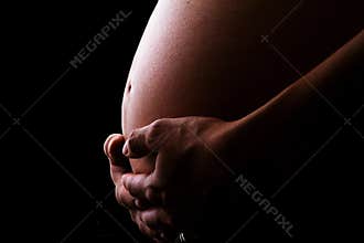 Pregnant women belly