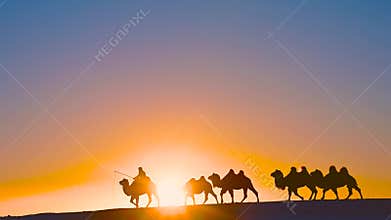 Camel caravan in the snow at sunset