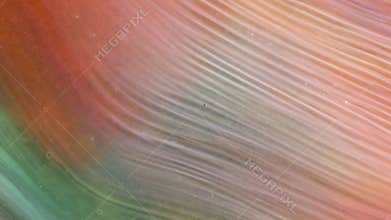 Macro video of shiny and iridescent ink particles. Abstract liquid artistic background, sparkling blue, green, turquoise