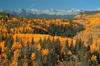 Sheep River valley, Alberta