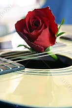 Love of music 2