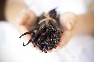 Hands offering vanilla beans