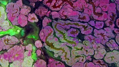 Abstract Colorful Paint Ink Explode Diffusion Psychedelic Blast Movement.