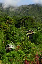 Old houses in tropical hills