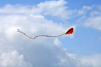 Flying a kite