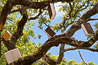 Tree of Books Learning and Knowledge