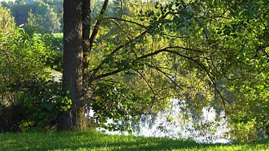 The unspoiled beauty of Hoellensteinsee in Viechtach, a tranquil retreat in the heart of Bavaria