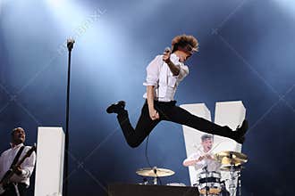 The Hives band