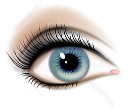 Female Human Eye Illustration
