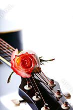 Guitar and rose.