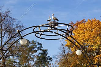 City park in the fall. Metal arch with lighting lanterns. At the top of the arch - a sculpture in the form of a nest and