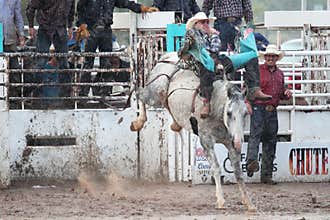 Extreme Rodeo