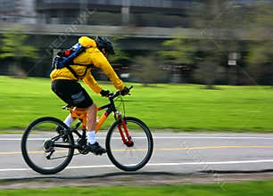 Mountain bike pan