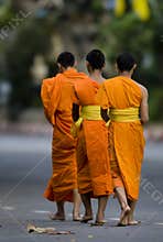 Buddhist monks walking 01