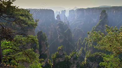 Sunny view of Avatar Mountains. Camera moving through view point in Zhangjiajie National Forest Park also known as