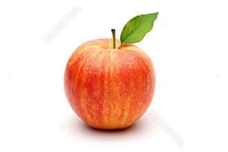 Gala Apple