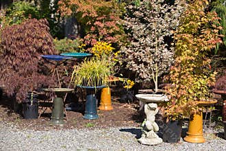 Generic Outdoor Garden Nursery