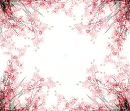 Abstract Floral Photo Frames