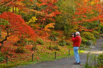 Fall Photography and Photographer