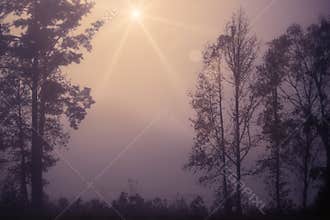 Fog Over Lake with Sun Star Burst