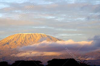 Top of kilimanjaro mountain in the sunrise