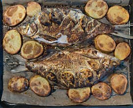 Just baked freshwater bream fish cooked with fresh rosemary and species with sliced lemons fruits and served with potato on the