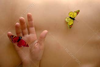 Butterflys