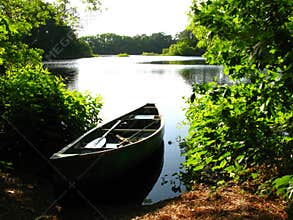 Afternoon fishing trip