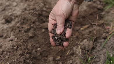 Mature farmer&#x27;s hand controlling and checking quality of the soil before planting in an ecological farming field