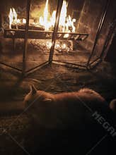 Cat warming himself by the fireplace