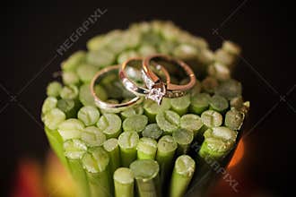 Wedding rings on plant stems