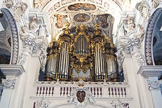 The largest organ in the world