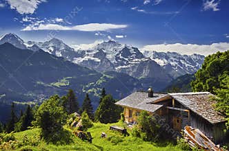 The Swiss Alps