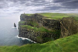Lush grass in Ireland