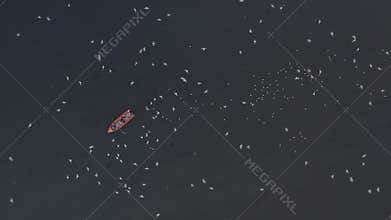 Aerial video of people feeding birds on a fishing boat along the Yamuna river in New Delhi, India.