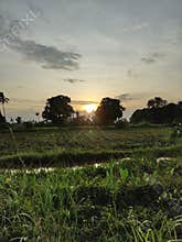 Sunsets, sunrises, green countryside, fields