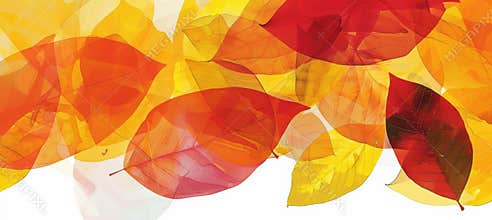 Modern Autumn Abstract with Colorful Angular Leaves in Bold Geometric Design for Print and Poster