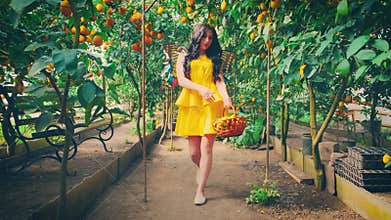 Happy woman queen butterflies fun walking. Holds hand basket with lemons.
